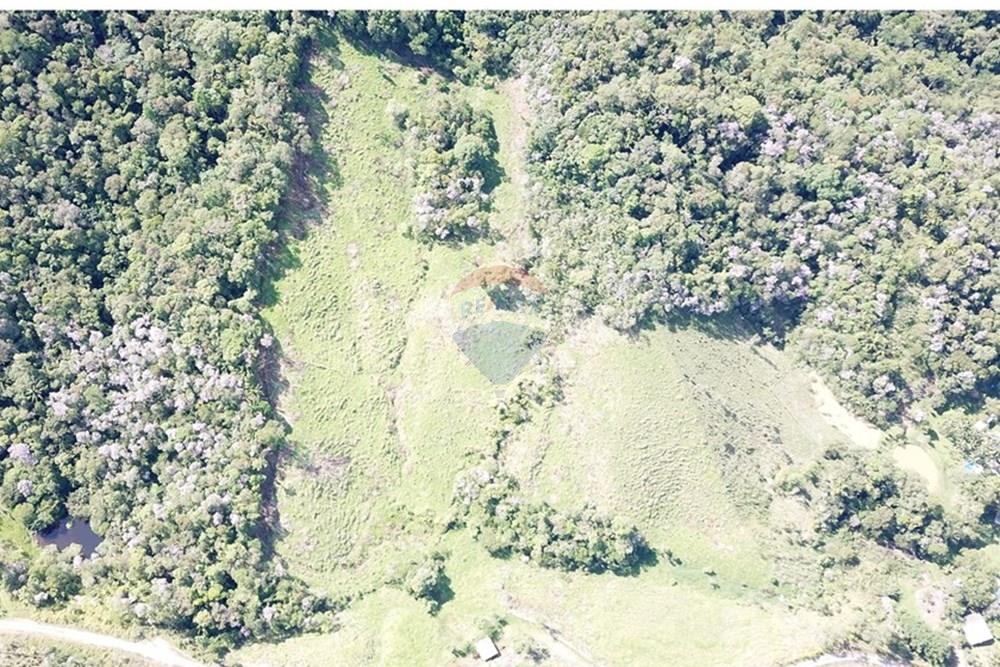 Fazenda - Venda - Jacupiranga , São Paulo - DJI_0073.JPG - 690061038-17