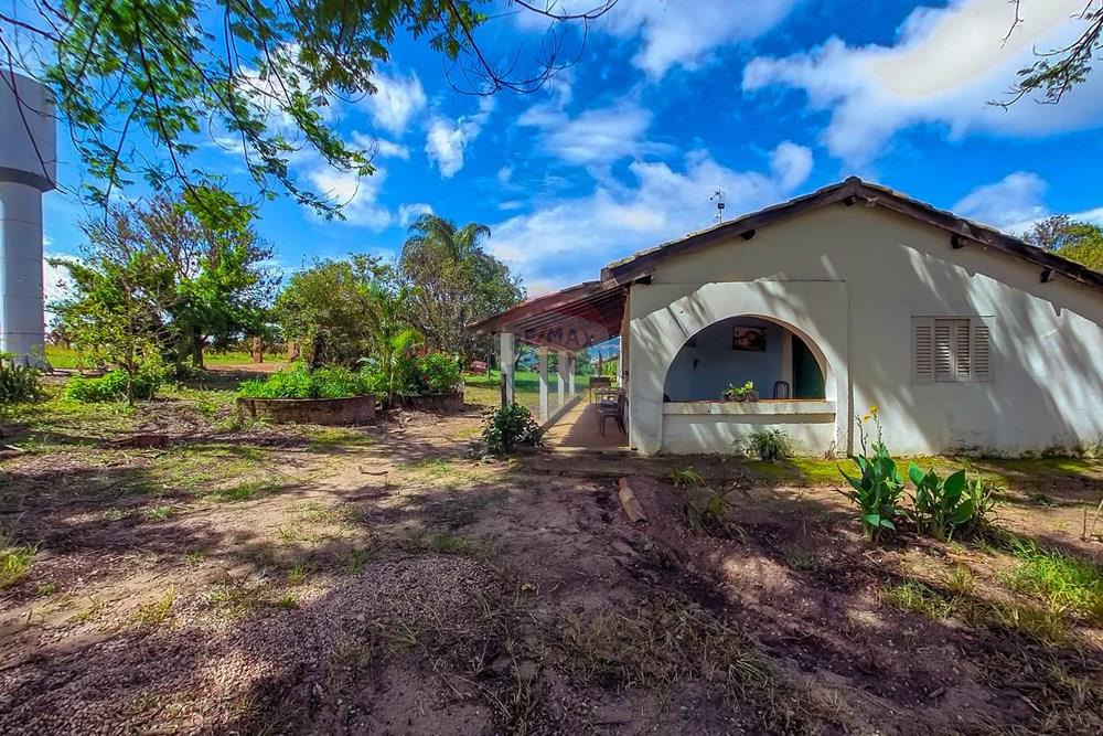 Fazenda - Venda - Analândia , São Paulo - Tratada-3.jpg - 690691016-305