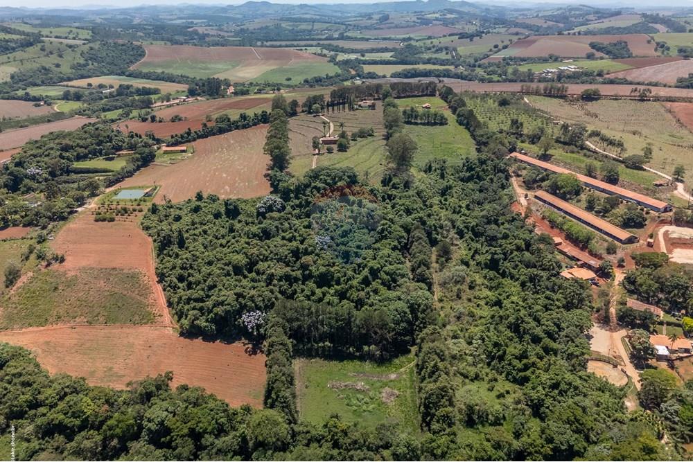 Chácara / Sítio / Fazenda - Venda - Morungaba , São Paulo - TKD-9536.jpg - 690661002-89