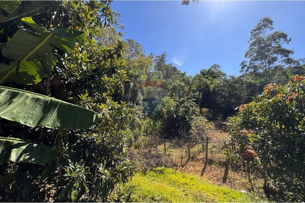 Chácara / Sítio / Fazenda - Venda - Joanópolis , São Paulo - photo_5019343269280201177_y.jpg - 690041001-120