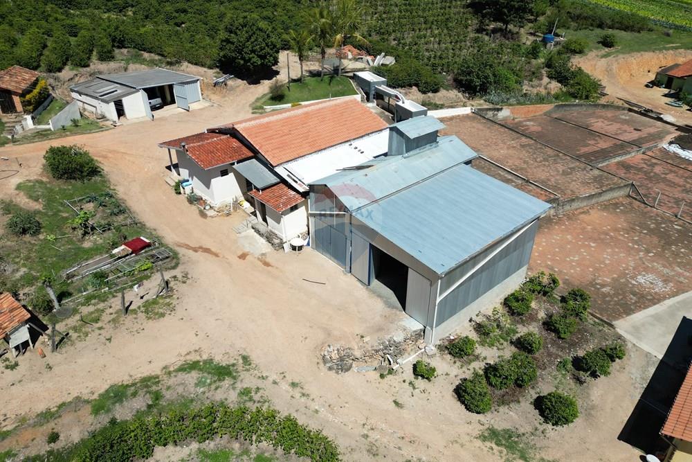 Agro - Venda - Serra Negra , São Paulo - DJI_0632.JPG - 690291056-50