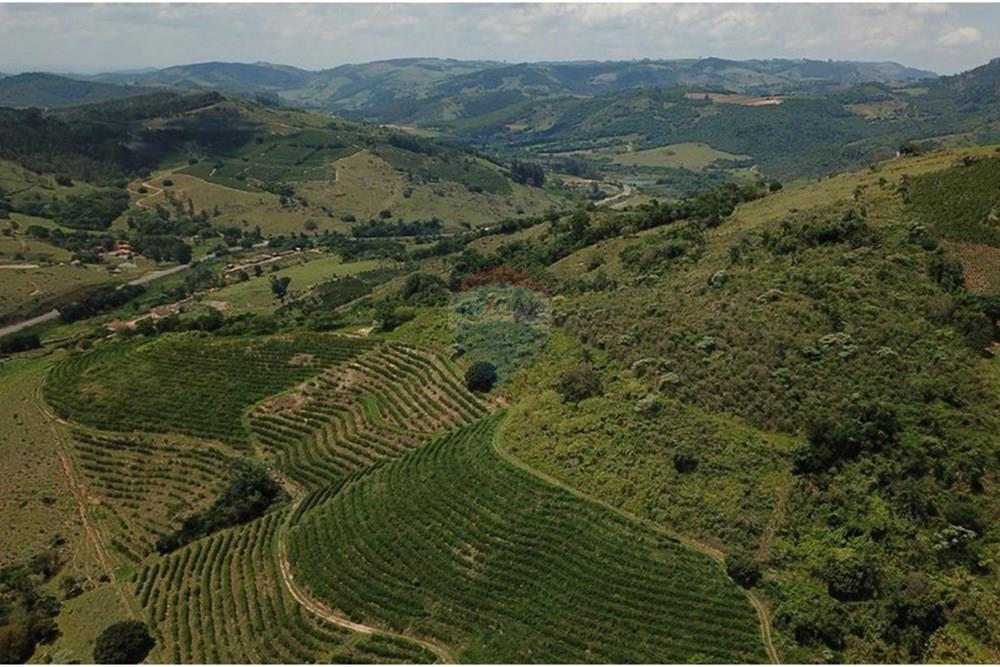 Chácara / Sítio / Fazenda - Venda - São Sebastião da Grama , São Paulo - WhatsApp Image 2026-02-05 at 14.42.45 (2).jpeg - 690681090-50