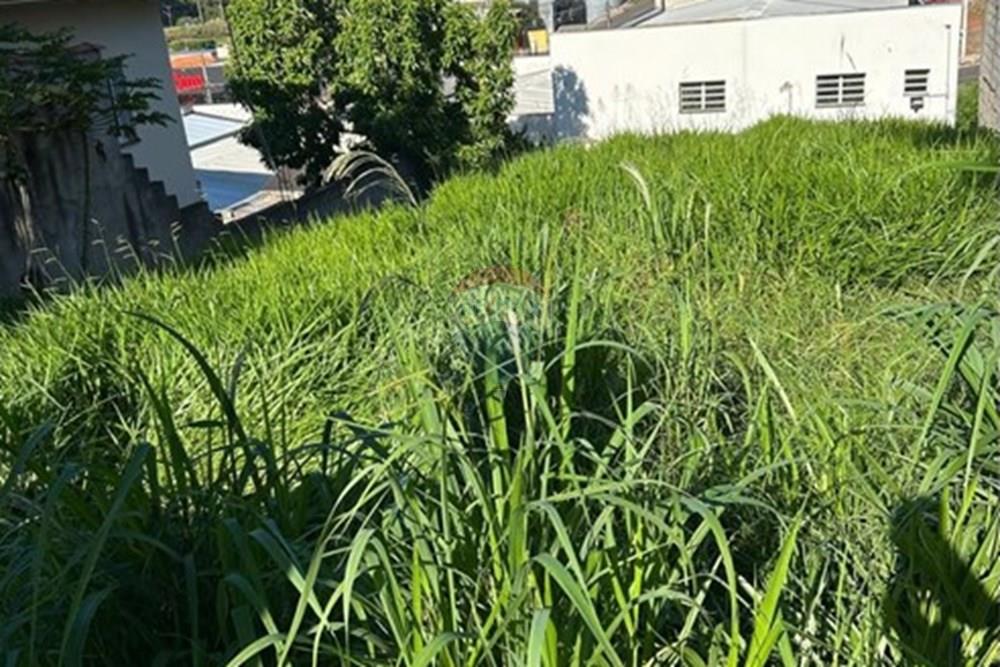 Terreno - Venda - Itatiba , São Paulo - 8f9fa5f5-a3d0-4b0e-b951-0b3cee0c08db.jpg - 690661102-28