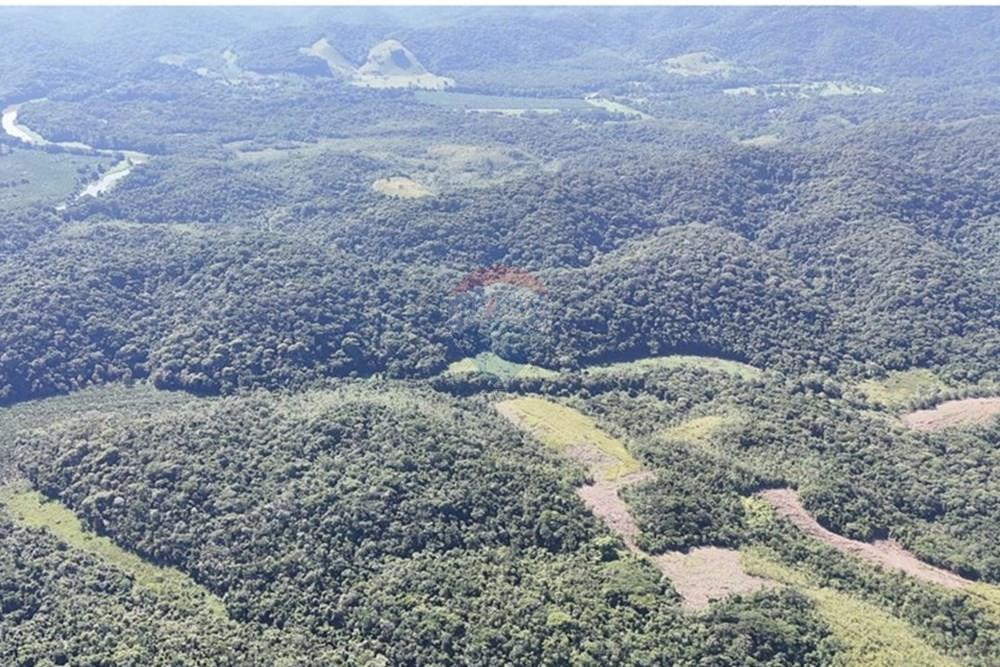 Fazenda - Venda - Miracatu , São Paulo - WhatsApp Image 2025-05-20 at 13.34.41 (2).jpeg - 690061038-9