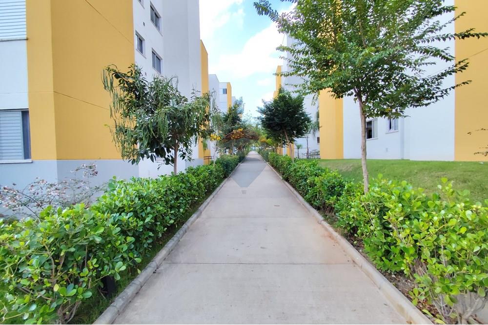 Apartamento - Venda - Paulínia , São Paulo - Imagem do WhatsApp de 2025-05-23 à(s) 23.00.34_4441d3fa.jpg - 690511042-343