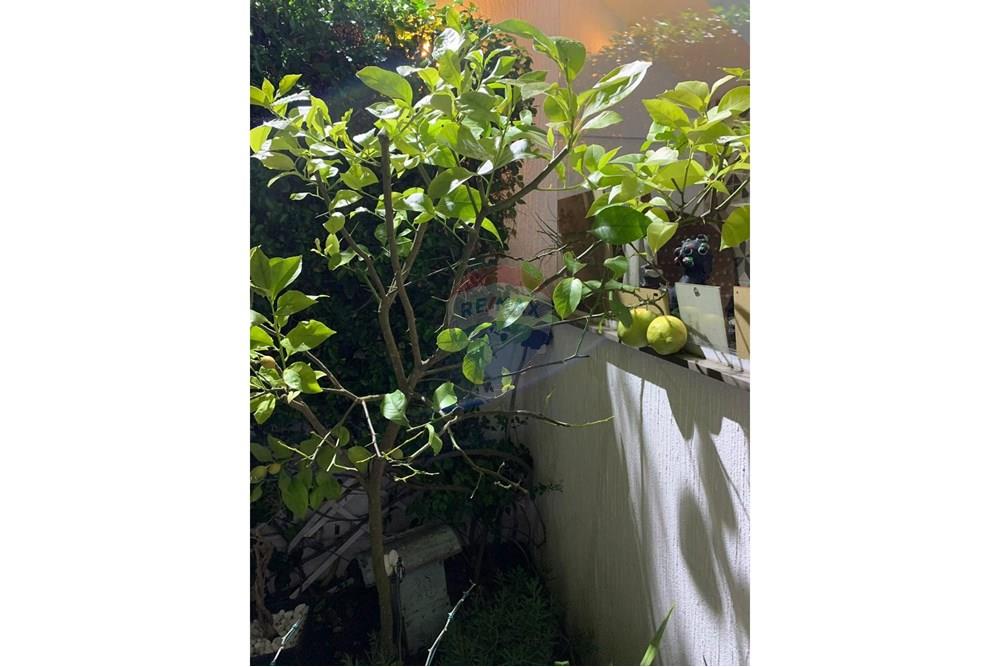 Casa - Alugar - Santana de Parnaíba , São Paulo - IMG-20250225-WA0011.jpg - 691021002-217