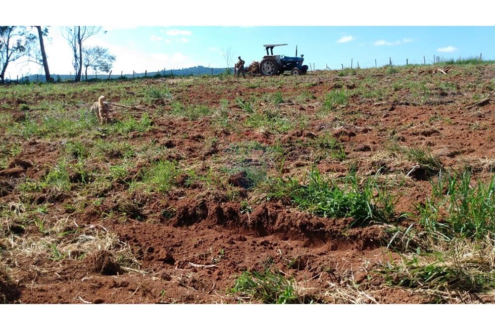 Fazenda - Venda - Campestre , Minas Gerais - 8c4e57f7-0cf9-4c28-9cab-dbd6c5e75673.jpg - 690291077-293