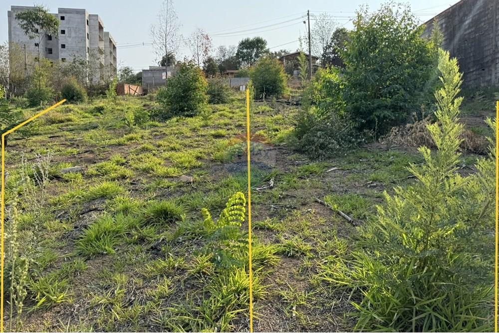 Terreno - Venda - Jarinu , São Paulo - WhatsApp Image 2025-12-18 at 10.19.11 (5).jpeg - 691121003-37