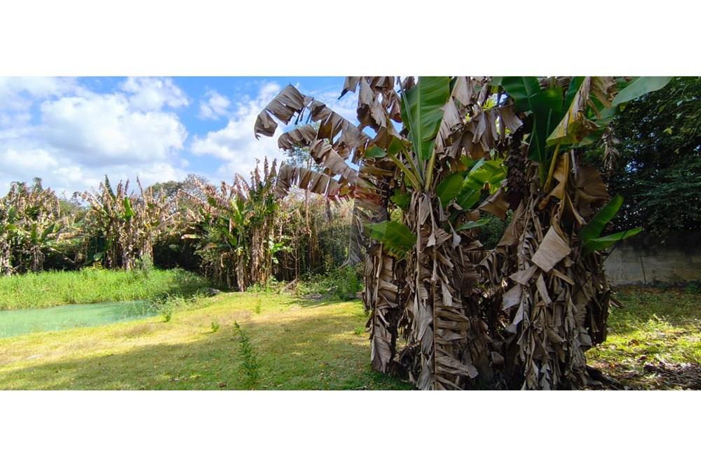 Chácara / Sítio / Fazenda - Venda - Mogi Guaçu , São Paulo - 31.jpeg - 690521018-208