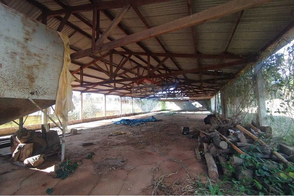 Chácara / Sítio / Fazenda - Venda - Itapira , São Paulo - IMG_20250620_135306.jpg - 690521014-142