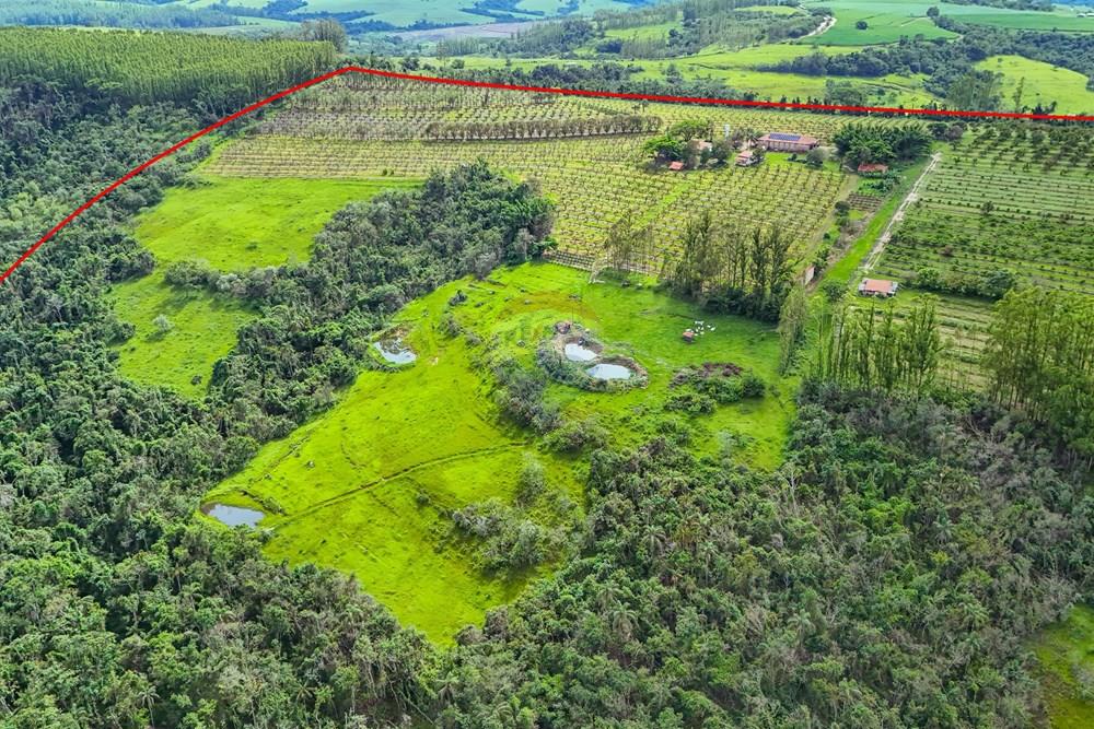 Fazenda - Venda - Analândia , São Paulo - Tratada - Drone-35.jpg - 690691016-305