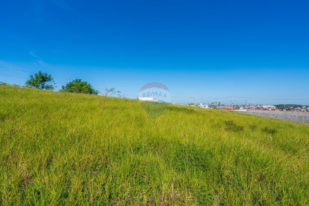 Terreno - Venda - Campinas , São Paulo - EDI08709RG98002306922 - MARCELO BRAGA - BELA ALIANCA.jpg - 690681202-4