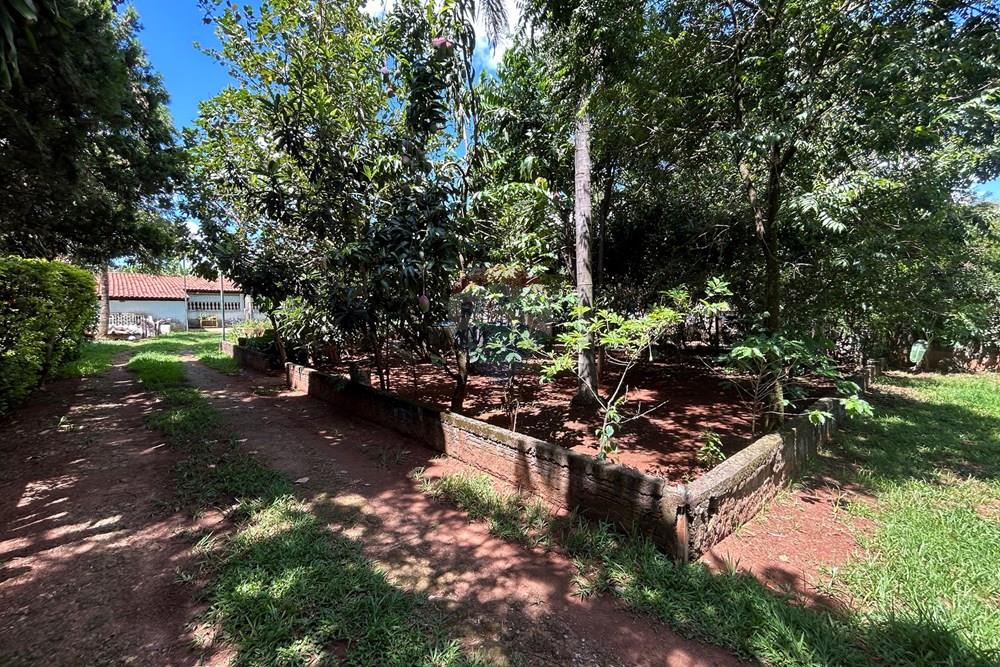 Chácara / Sítio / Fazenda - Venda - Nova Odessa , São Paulo - IMG_2805.JPG - 690641010-577