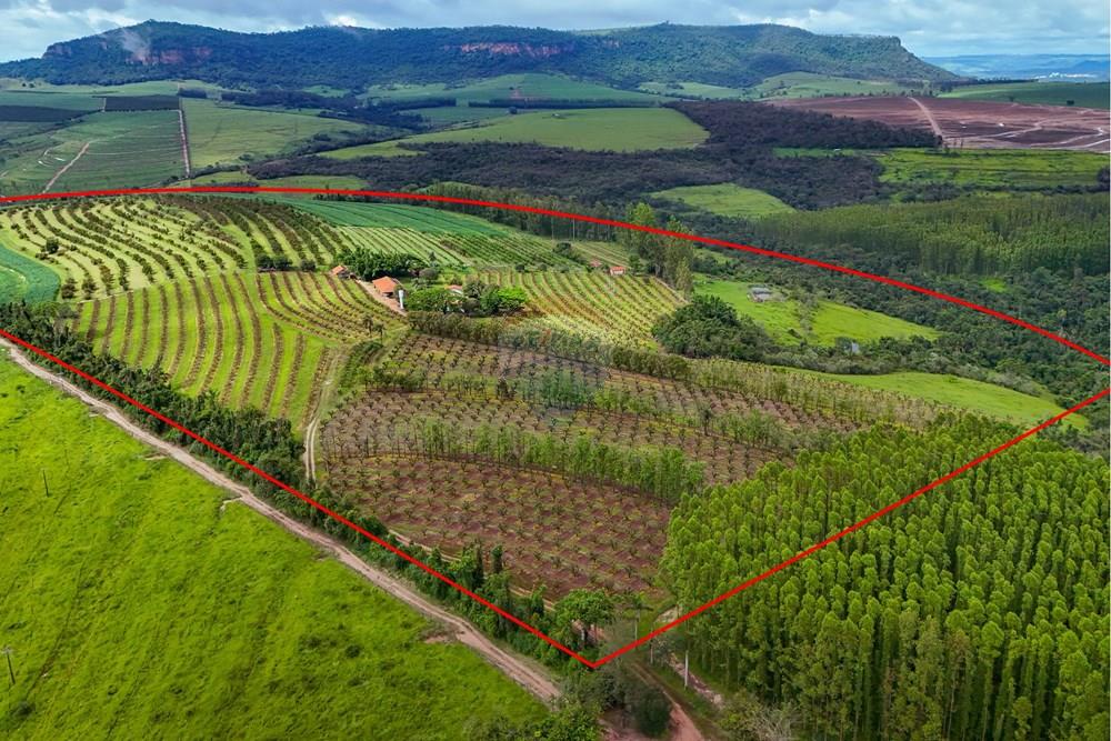 Fazenda - Venda - Analândia , São Paulo - Tratada - Drone-3.jpg - 690691016-305