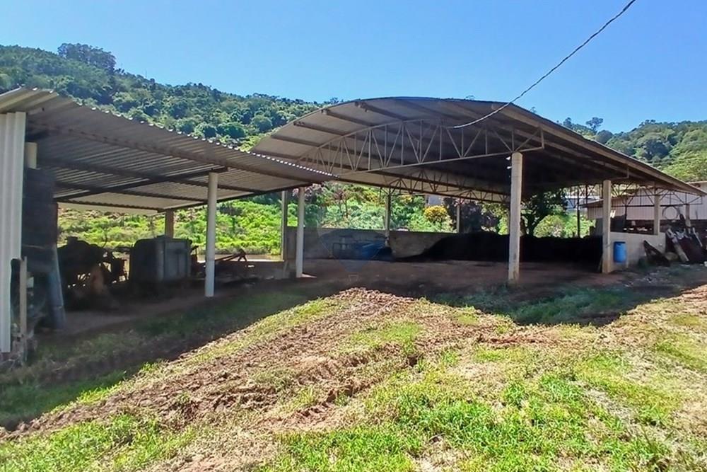 Chácara / Sítio / Fazenda - Venda - Bragança Paulista , São Paulo - 20260213_105352.jpg - 690141085-32