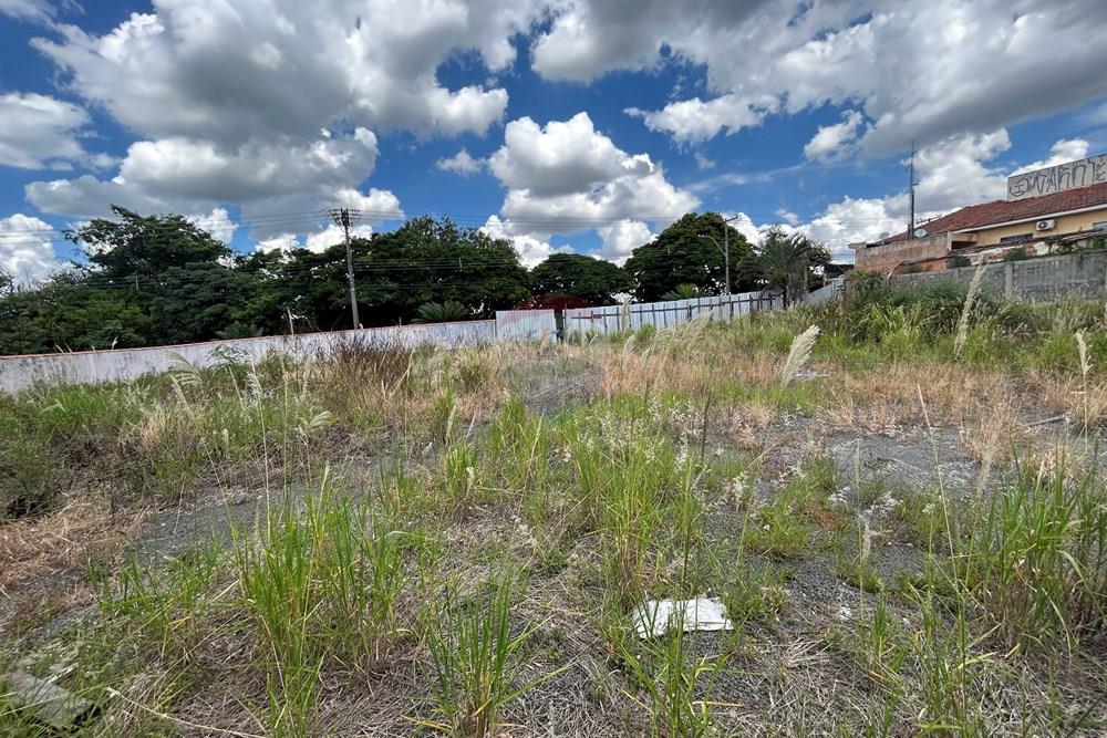 Terreno - Venda - Nova Odessa , São Paulo - IMG_3084.JPG - 690641010-580