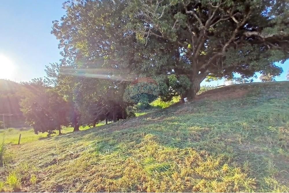 Chácara / Sítio / Fazenda - Venda - Itapira , São Paulo - WhatsApp Image 2025-04-22 at 08.34.37 (1).jpeg - 690291039-40