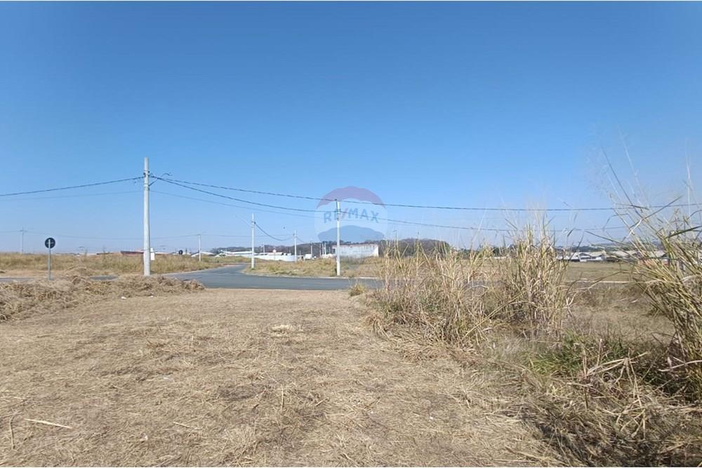 Terreno - Venda - Mogi Guaçu , São Paulo - WhatsApp Image 2025-07-22 at 13.07.02.jpeg - Quintal - 690521005-196