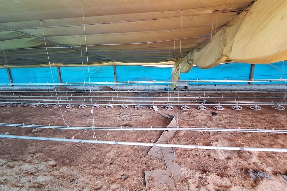 Chácara / Sítio / Fazenda - Venda - Itapira , São Paulo - a49782c2-1e18-42af-b5b6-6ee0952dced1.jpg - 690751048-290