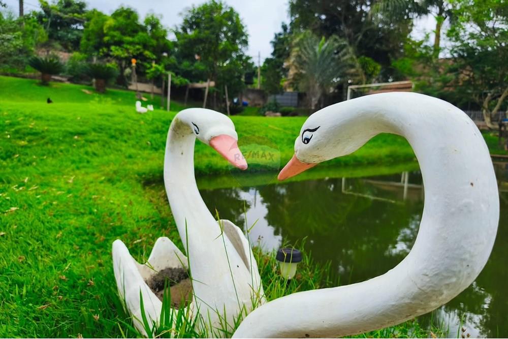 Terreno - Venda - Mogi Guaçu , São Paulo - WhatsApp Image 2025-04-25 at 17.30.53.jpeg - 690521018-181