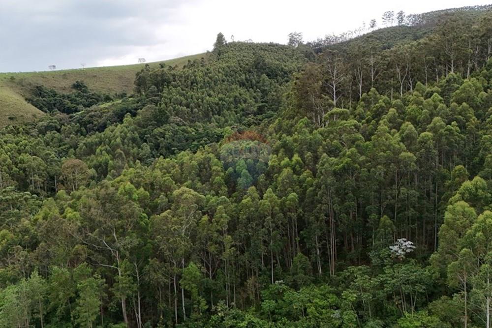 Chácara / Sítio / Fazenda - Venda - Piracaia , São Paulo - dji_fly_20260224_171856_0080_1771962287373_photo.jpg - 691011027-7