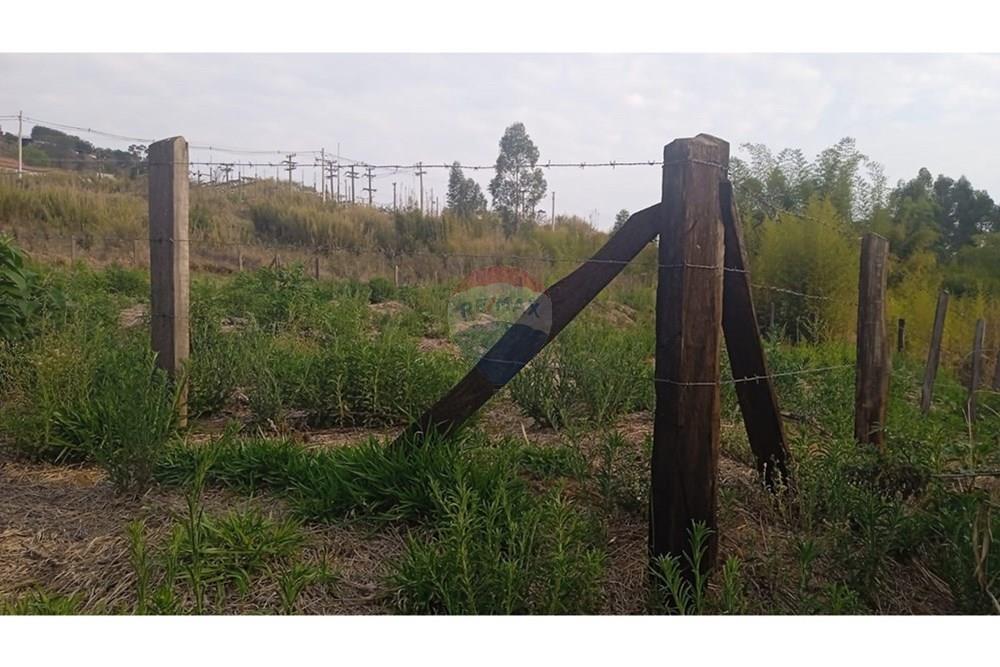 Terreno - Venda - Pedra Bela , São Paulo - terreno tia3.jpeg - 690041008-25