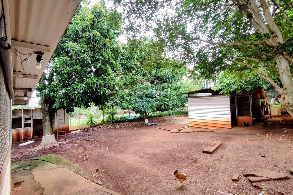 Chácara / Sítio / Fazenda - Venda - Mogi Mirim , São Paulo - 70.jpg - 690521007-331