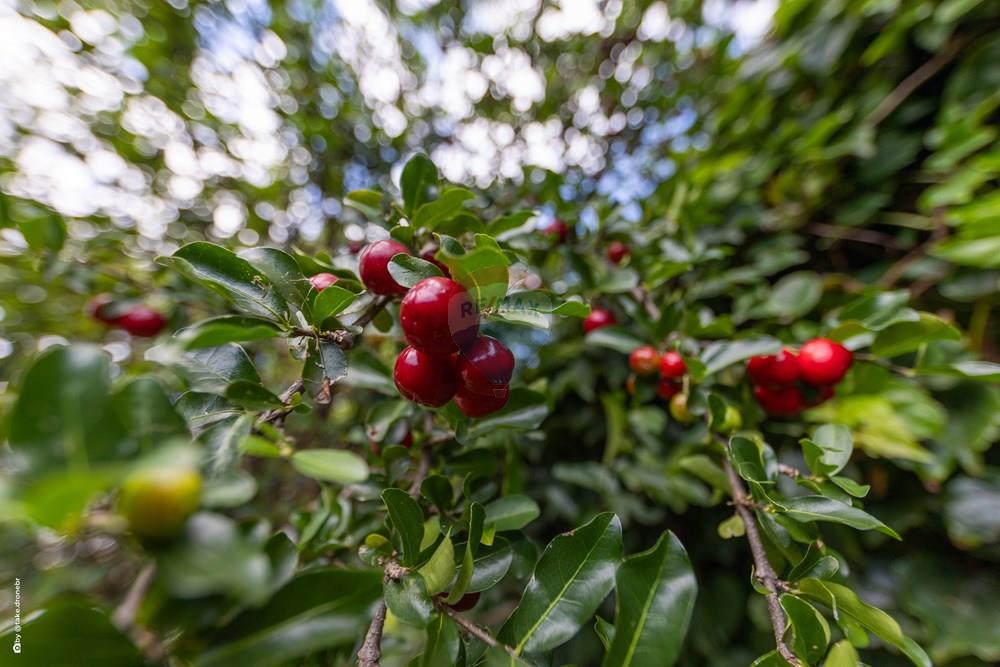 Casa de Condomínio - Venda - Valinhos , São Paulo - TKD-12157.jpg - 690491081-9