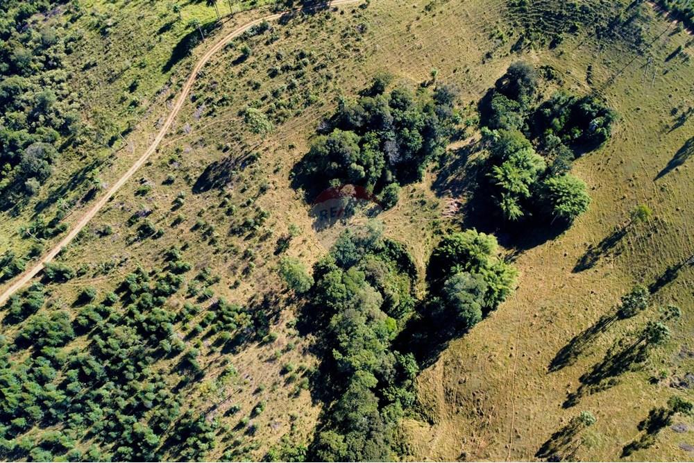 Chácara / Sítio / Fazenda - Venda - Socorro , São Paulo - dji_fly_20250617_095526_228_1750165004404_photo_optimized.jpg - 690291056-39