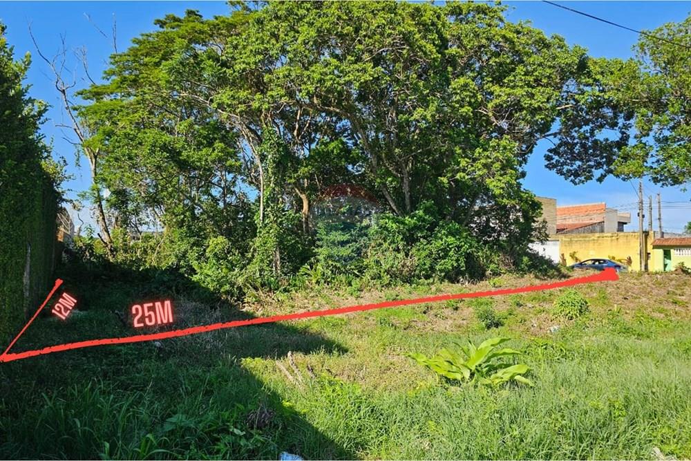 Terreno - Venda - Peruíbe , São Paulo - Inserir um título.jpg - 691111010-108