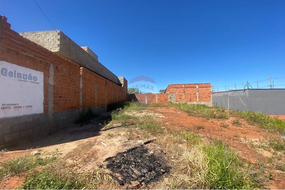 Terreno - Venda - Mogi Mirim , São Paulo - WhatsApp Image 2025-12-02 at 14.20.28 (1).jpeg - 690751117-2