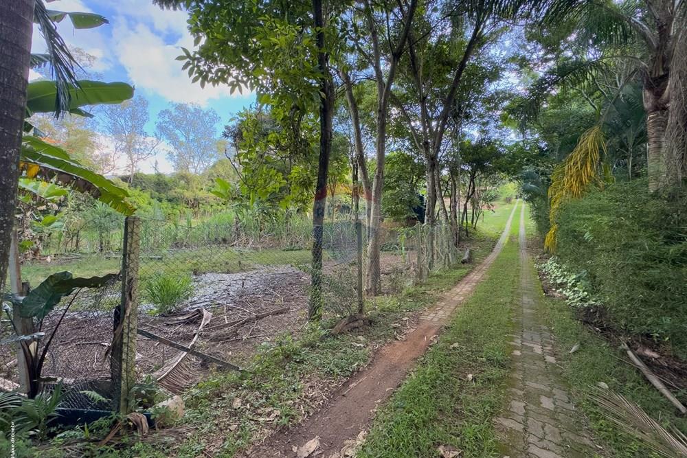 Chácara / Sítio / Fazenda - Venda - Valinhos , São Paulo - TKD-17887.jpg - 690941036-31