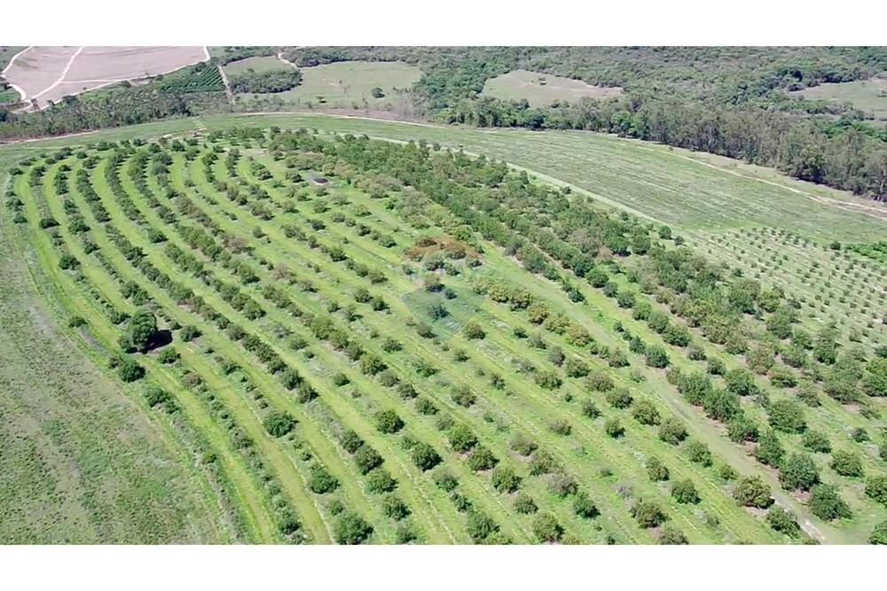 Fazenda - Venda - Analândia , São Paulo - 5ba9b49c-85c6-4815-a743-686935a55a4b.jpg - 690691016-305