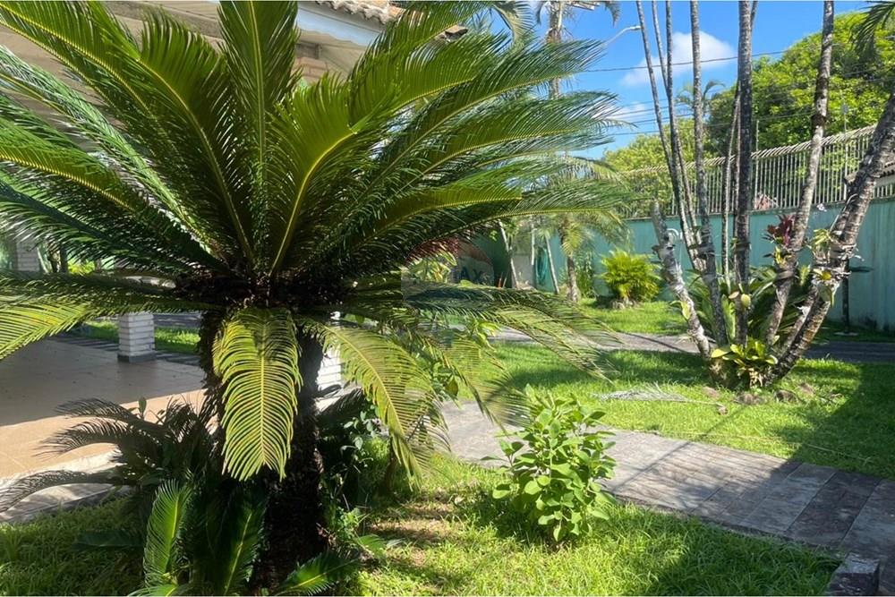 Casa - Alugar - Peruíbe , São Paulo - WhatsApp Image 2026-03-19 at 10.42.44.jpeg - 691111066-3