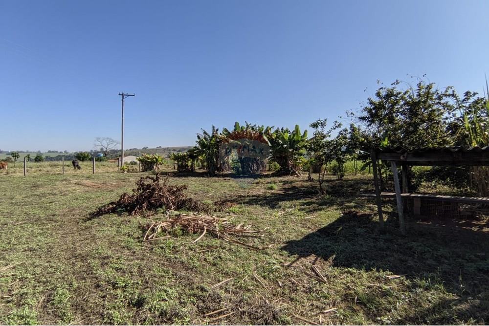 Terreno - Venda - Mogi Guaçu , São Paulo - 19.jpeg - 690521018-187