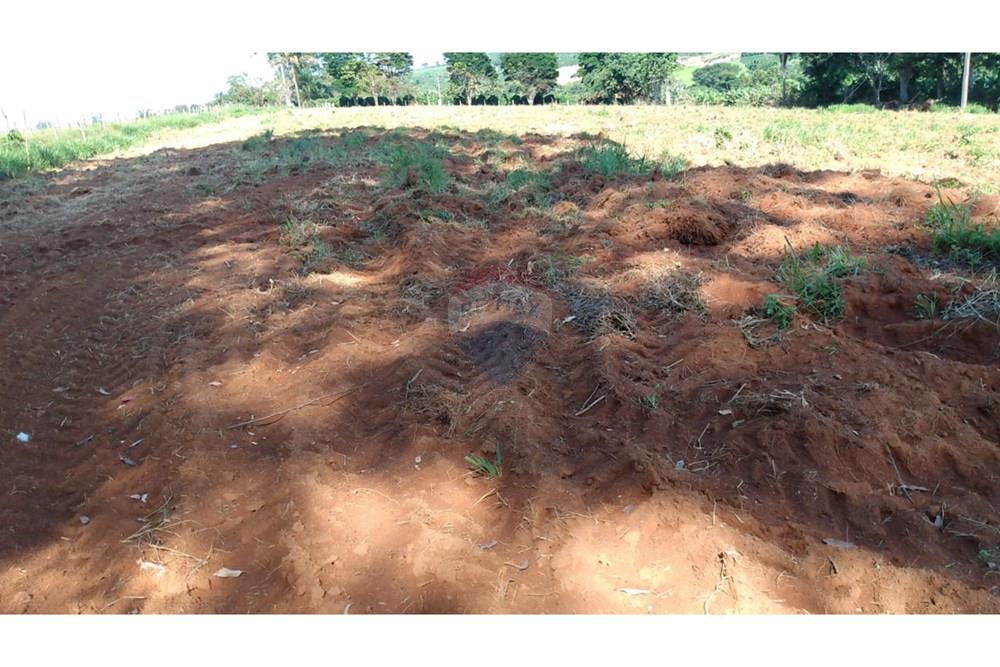 Fazenda - Venda - Campestre , Minas Gerais - f5b03874-a4b4-4fb1-9012-ea9ee2a1f10d.jpg - 690291077-293