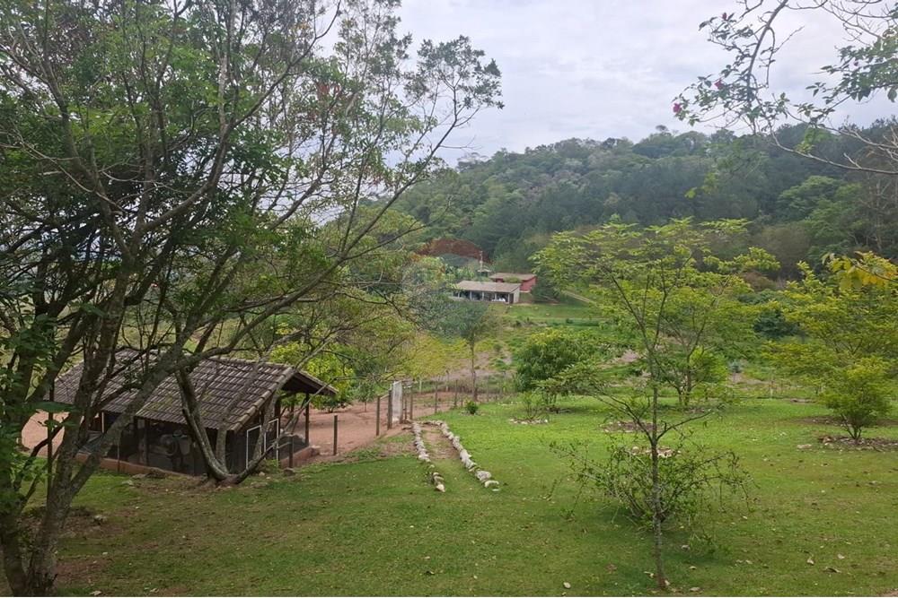 Chácara / Sítio / Fazenda - Venda - Atibaia , São Paulo - f4b0fa22-7513-4acc-b448-c788504cc4d4.jpeg - 690471111-96