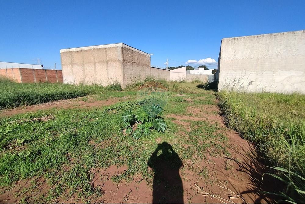 Terreno - Venda - Mogi Guaçu , São Paulo - IMG_20250430_153501.jpg - 690521005-80