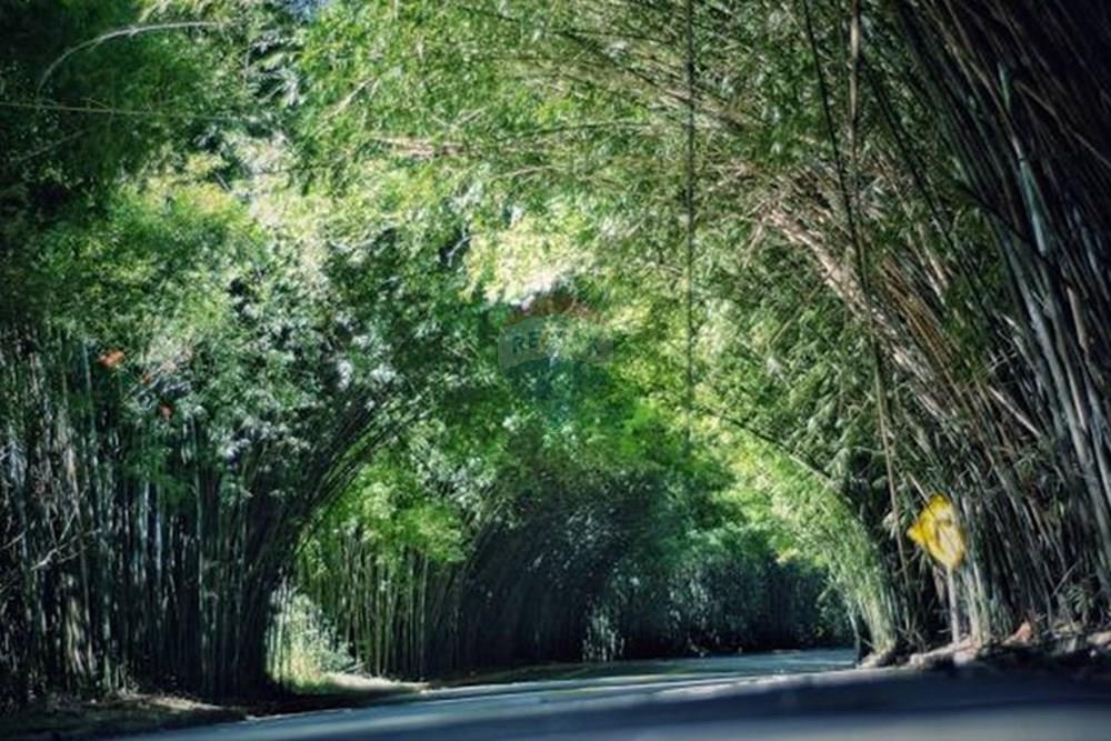 Chácara / Sítio / Fazenda - Venda - Morungaba , São Paulo - 8.jpeg - 690661002-89