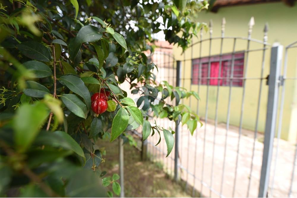 Casa - Venda - Rio Claro , São Paulo - PIP_5114.JPG - 690811006-128