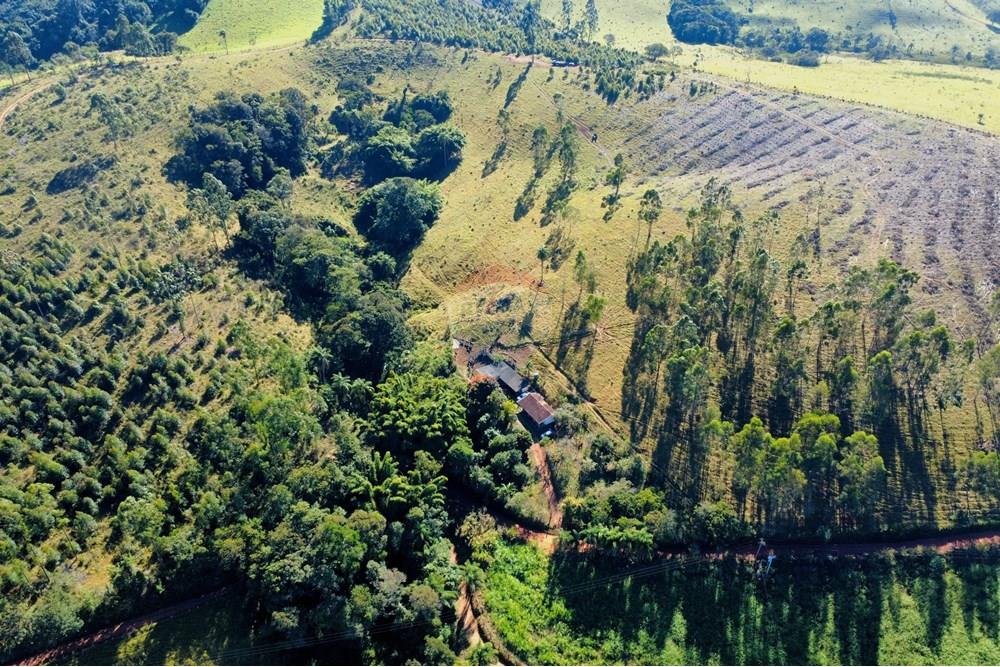 Chácara / Sítio / Fazenda - Venda - Socorro , São Paulo - dji_fly_20250617_095626_235_1750165128489_photo_optimized.jpg - 690291056-39