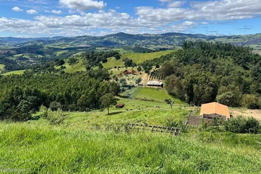 Chácara / Sítio / Fazenda - Venda - Socorro , São Paulo - IMG-20260121-WA0088(1)(1).jpg - 690751097-4