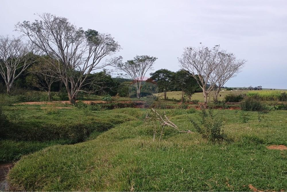 Chácara / Sítio / Fazenda - Venda - Santa Maria da Serra , São Paulo - 8c6ac489-563b-40dd-a8b1-e3eb318624e5.jpg - 690571076-32