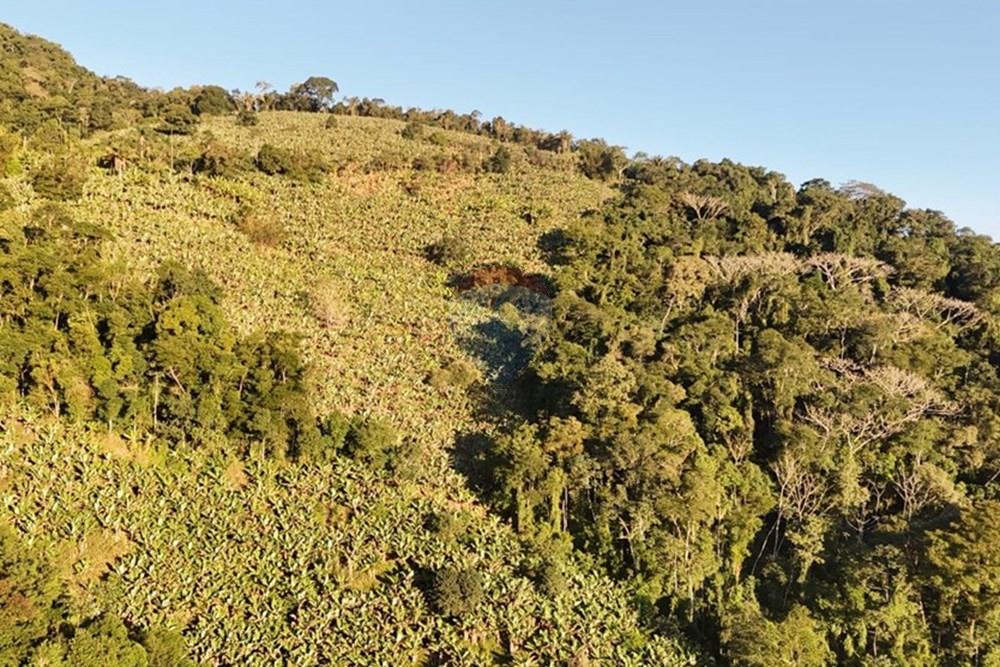 Fazenda - Venda - Miracatu , São Paulo - WhatsApp Image 2025-07-09 at 09.07.23 (3).jpeg - 690061038-15