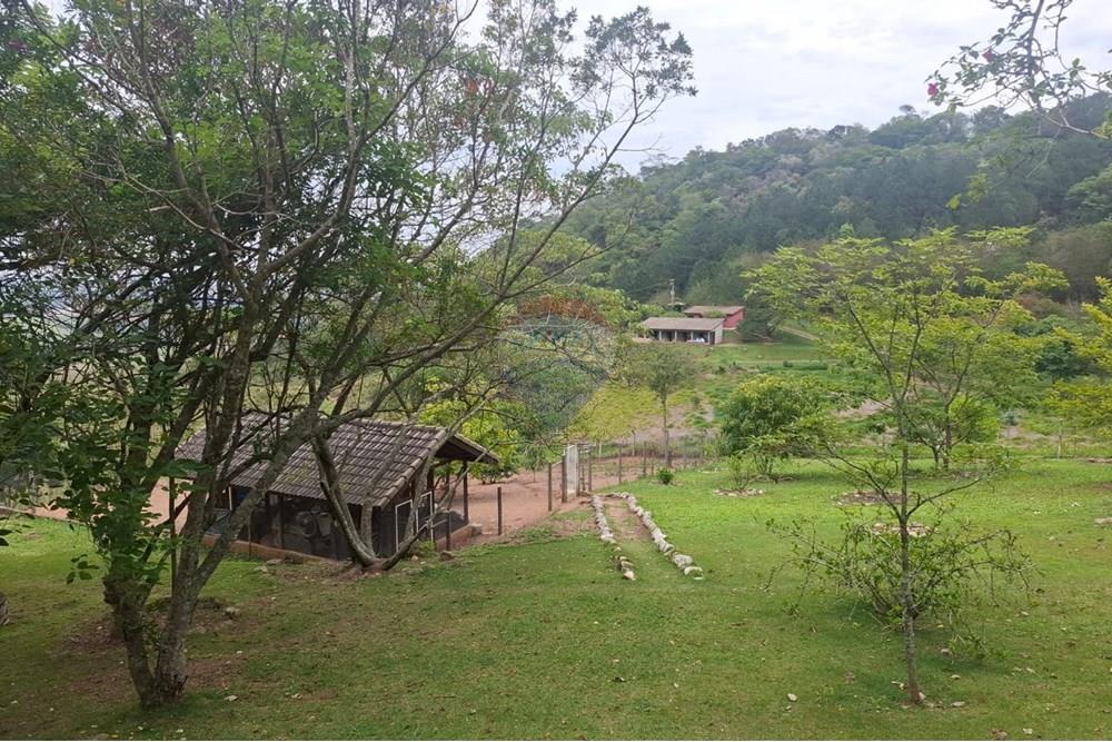 Chácara / Sítio / Fazenda - Venda - Atibaia , São Paulo - d409df73-71f2-4f09-bc1a-8ca8253f81ca.jpeg - 690471111-96