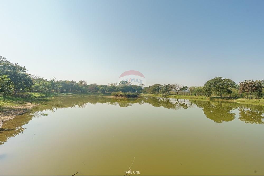 Terreno - Venda - Jaguariúna , São Paulo - DSC03285-HDR.jpg - 690671004-369