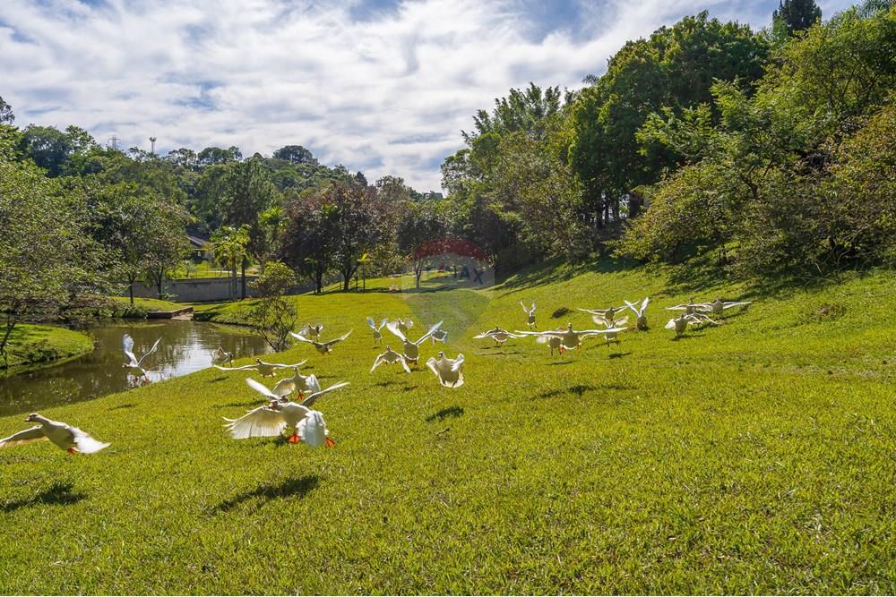 Casa de Condomínio - Venda - Vinhedo , São Paulo - 060 Vista Alegre.jpg - 690941009-123