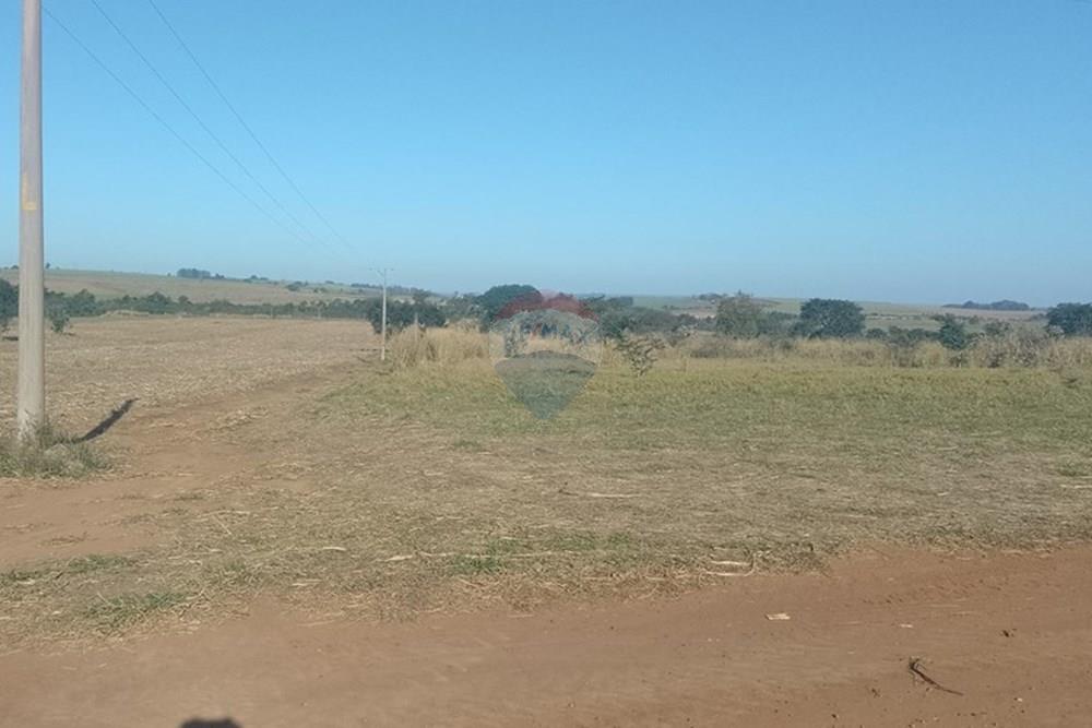 Terreno - Venda - Ipeúna , São Paulo - WhatsApp Image 2025-07-30 at 15.59.31 (1).jpeg - 690811006-137