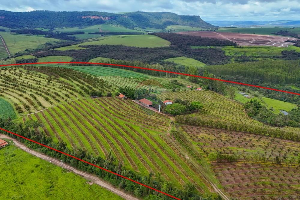 Fazenda - Venda - Analândia , São Paulo - Tratada - Drone-8.jpg - 690691016-305