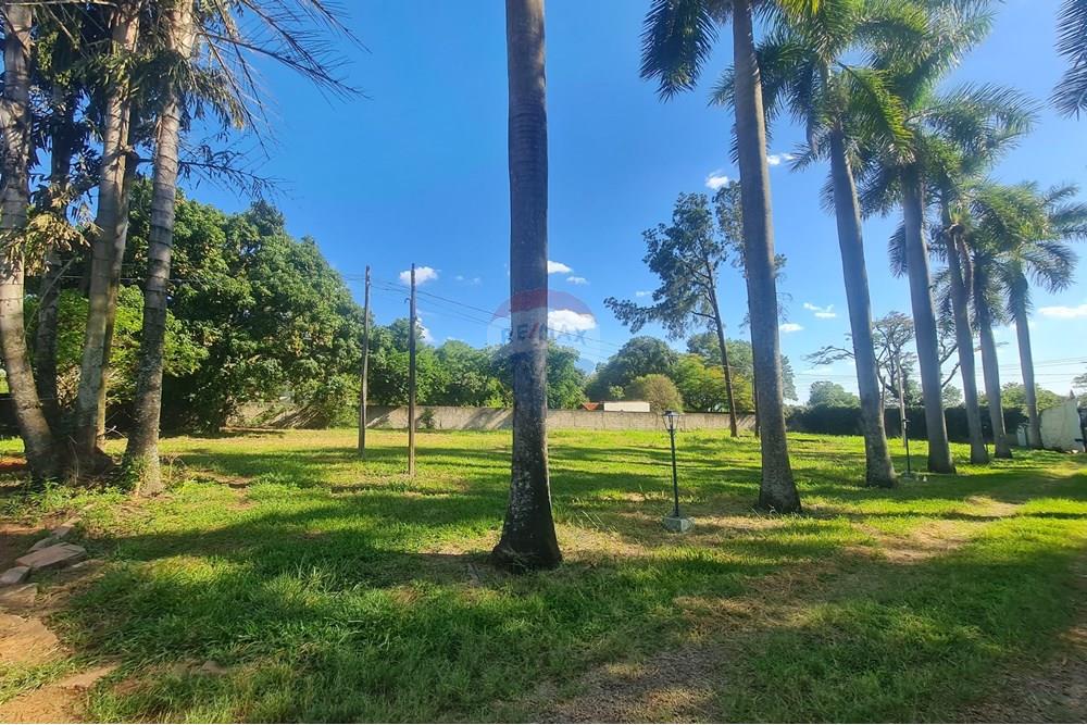 Agro - Alugar - Artur Nogueira , São Paulo - 20251120_155159.jpg - 690671009-93